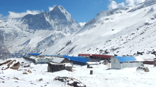 Thorong La Pass Guide: How to Cross the Annapurna Circuit's Highest Point Safely